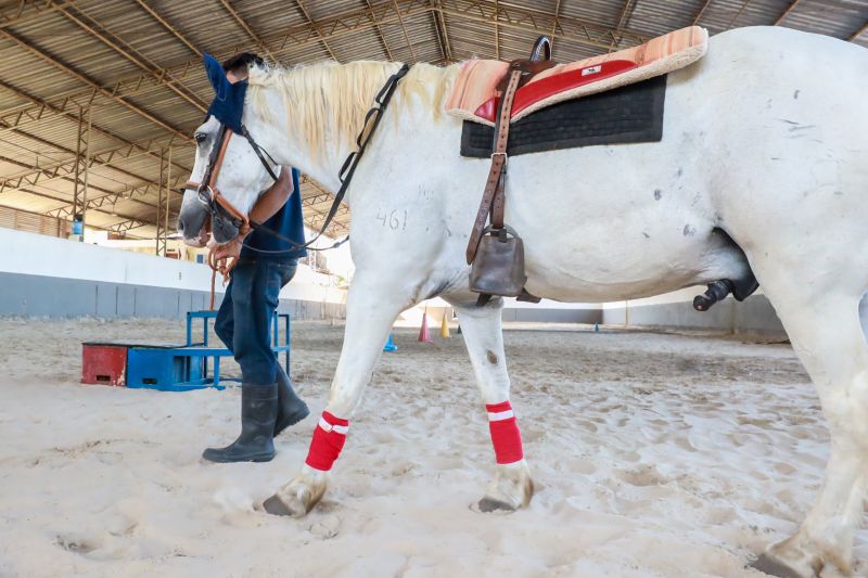  <div class='credito_fotos'>Foto: Bruno Cruz / Ag. Pará &nbsp;&nbsp;|&nbsp;&nbsp; <a href='/midias/2024/originais/20608_231d63ae-a254-17fb-7ca1-2dbfd6c0d9a2.jpg' download><i class='fa-solid fa-download'></i> Download</a></div>