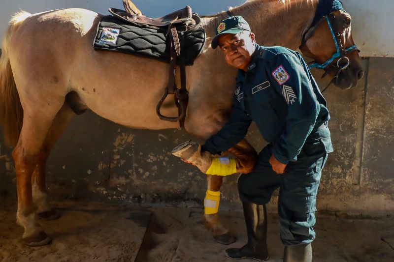  <div class='credito_fotos'>Foto: Bruno Cruz / Ag. Pará &nbsp;&nbsp;|&nbsp;&nbsp; <a href='/midias/2024/originais/20608_233c9ba4-5e5f-cd98-5385-450ca73b3a1b.jpg' download><i class='fa-solid fa-download'></i> Download</a></div>