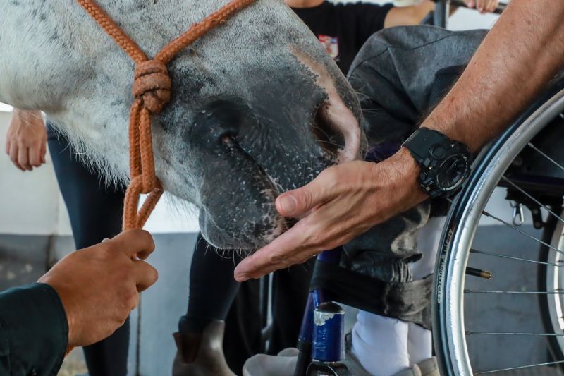  <div class='credito_fotos'>Foto: Bruno Cruz / Ag. Pará &nbsp;&nbsp;|&nbsp;&nbsp; <a href='/midias/2024/originais/20608_270772a0-7d80-c8e8-0af0-301001bd7769.jpg' download><i class='fa-solid fa-download'></i> Download</a></div>