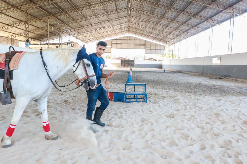  <div class='credito_fotos'>Foto: Bruno Cruz / Ag. Pará &nbsp;&nbsp;|&nbsp;&nbsp; <a href='/midias/2024/originais/20608_2857e002-cb20-b850-e8a1-baddbf222663.jpg' download><i class='fa-solid fa-download'></i> Download</a></div>