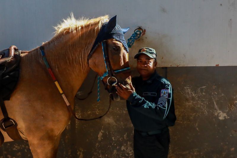  <div class='credito_fotos'>Foto: Bruno Cruz / Ag. Pará &nbsp;&nbsp;|&nbsp;&nbsp; <a href='/midias/2024/originais/20608_2afb40f5-fd8b-6007-089b-2b71fc2b6332.jpg' download><i class='fa-solid fa-download'></i> Download</a></div>