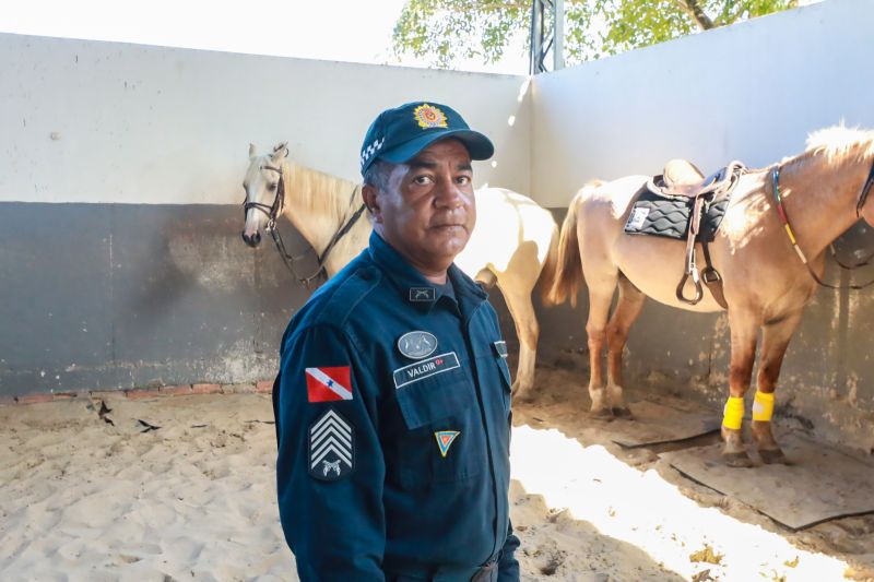  <div class='credito_fotos'>Foto: Bruno Cruz / Ag. Pará &nbsp;&nbsp;|&nbsp;&nbsp; <a href='/midias/2024/originais/20608_31645d42-625d-a690-70d3-b0bbe01ce3da.jpg' download><i class='fa-solid fa-download'></i> Download</a></div>