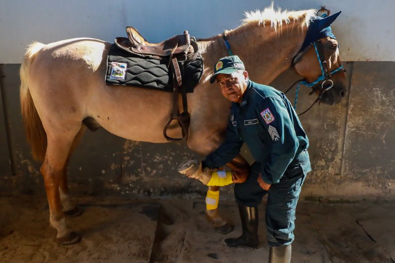 <div class='credito_fotos'>Foto: Bruno Cruz / Ag. Pará &nbsp;&nbsp;|&nbsp;&nbsp; <a href='/midias/2024/originais/20608_359019b9-7c20-5b88-c658-3f1e569e55cc.jpg' download><i class='fa-solid fa-download'></i> Download</a></div>