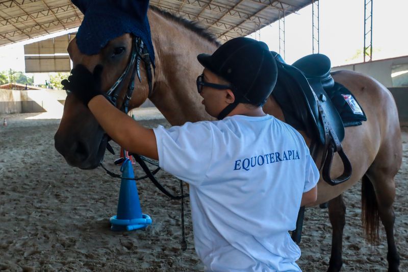  <div class='credito_fotos'>Foto: Bruno Cruz / Ag. Pará &nbsp;&nbsp;|&nbsp;&nbsp; <a href='/midias/2024/originais/20608_374a87f8-3d50-73ed-4153-b56fc056cd53.jpg' download><i class='fa-solid fa-download'></i> Download</a></div>