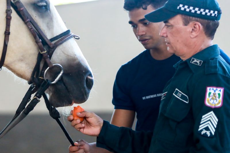  <div class='credito_fotos'>Foto: Bruno Cruz / Ag. Pará &nbsp;&nbsp;|&nbsp;&nbsp; <a href='/midias/2024/originais/20608_3c25312b-1ec0-93fd-69b5-5e0dbc273b20.jpg' download><i class='fa-solid fa-download'></i> Download</a></div>