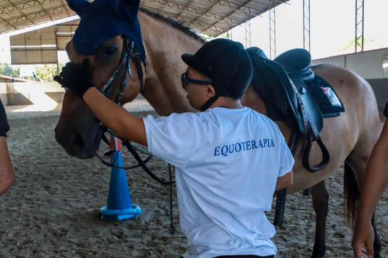  <div class='credito_fotos'>Foto: Bruno Cruz / Ag. Pará &nbsp;&nbsp;|&nbsp;&nbsp; <a href='/midias/2024/originais/20608_40678744-19d4-7801-4ae4-90e27123d9ef.jpg' download><i class='fa-solid fa-download'></i> Download</a></div>