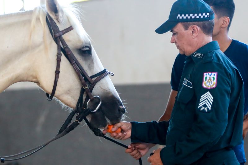  <div class='credito_fotos'>Foto: Bruno Cruz / Ag. Pará &nbsp;&nbsp;|&nbsp;&nbsp; <a href='/midias/2024/originais/20608_470fd446-0310-fc61-b738-cb37ec4f02ee.jpg' download><i class='fa-solid fa-download'></i> Download</a></div>