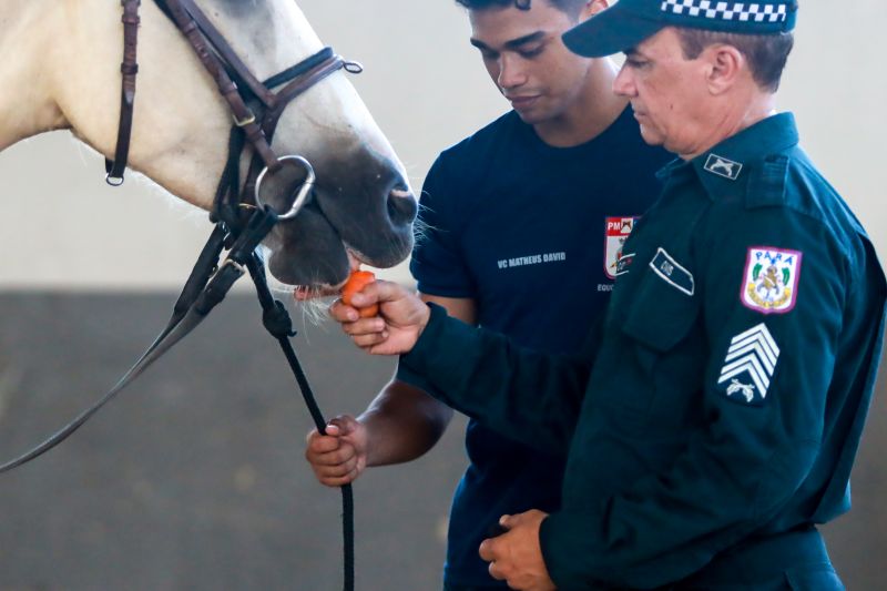  <div class='credito_fotos'>Foto: Bruno Cruz / Ag. Pará &nbsp;&nbsp;|&nbsp;&nbsp; <a href='/midias/2024/originais/20608_49f8bc94-e002-5b81-15eb-ee3833bef263.jpg' download><i class='fa-solid fa-download'></i> Download</a></div>