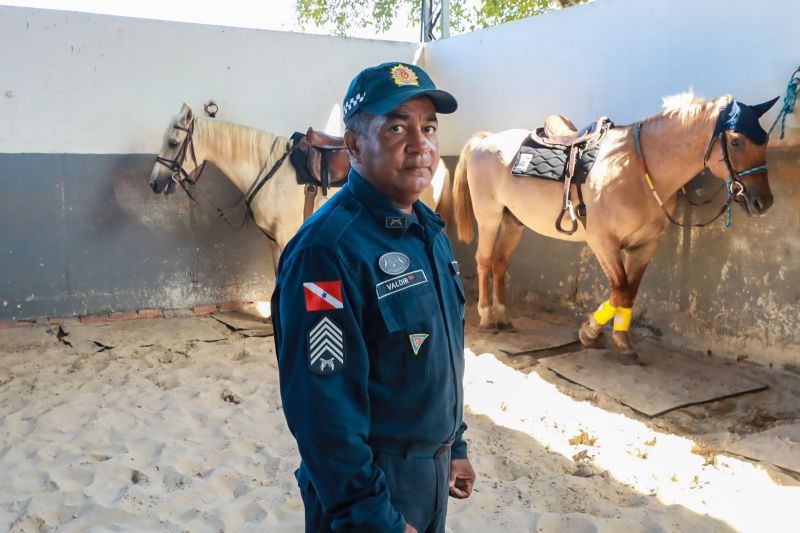  <div class='credito_fotos'>Foto: Bruno Cruz / Ag. Pará &nbsp;&nbsp;|&nbsp;&nbsp; <a href='/midias/2024/originais/20608_4a6041e6-f847-27bb-fe4e-19b096744e24.jpg' download><i class='fa-solid fa-download'></i> Download</a></div>