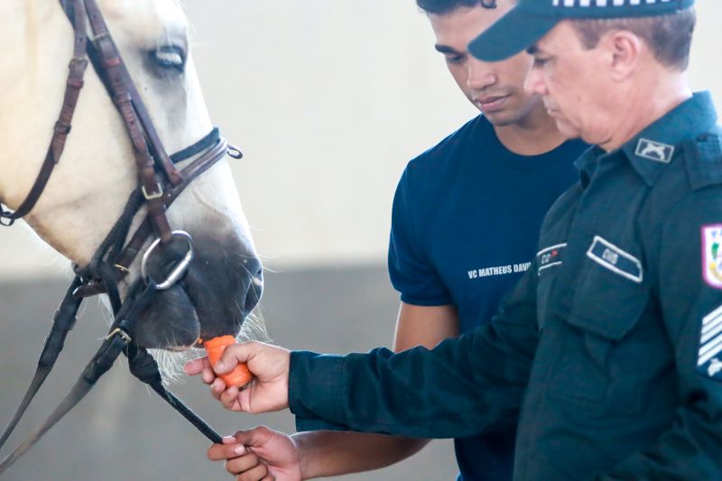  <div class='credito_fotos'>Foto: Bruno Cruz / Ag. Pará &nbsp;&nbsp;|&nbsp;&nbsp; <a href='/midias/2024/originais/20608_528d9b9a-5c89-292e-c0aa-e7b8c8d6c962.jpg' download><i class='fa-solid fa-download'></i> Download</a></div>