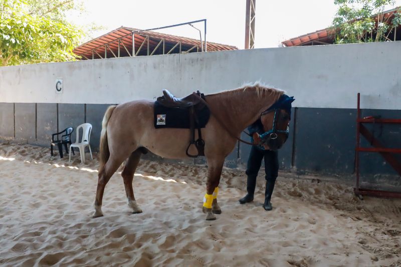  <div class='credito_fotos'>Foto: Bruno Cruz / Ag. Pará &nbsp;&nbsp;|&nbsp;&nbsp; <a href='/midias/2024/originais/20608_54fda49f-8b5e-f12b-6309-7adfcaa91224.jpg' download><i class='fa-solid fa-download'></i> Download</a></div>