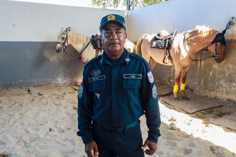  <div class='credito_fotos'>Foto: Bruno Cruz / Ag. Pará &nbsp;&nbsp;|&nbsp;&nbsp; <a href='/midias/2024/originais/20608_55309e92-9dac-a109-7db0-0add7d10ab9e.jpg' download><i class='fa-solid fa-download'></i> Download</a></div>