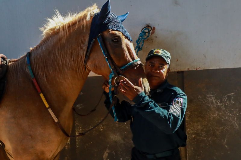  <div class='credito_fotos'>Foto: Bruno Cruz / Ag. Pará &nbsp;&nbsp;|&nbsp;&nbsp; <a href='/midias/2024/originais/20608_571eca16-39f5-f9fd-a0ec-819d748b87ad.jpg' download><i class='fa-solid fa-download'></i> Download</a></div>