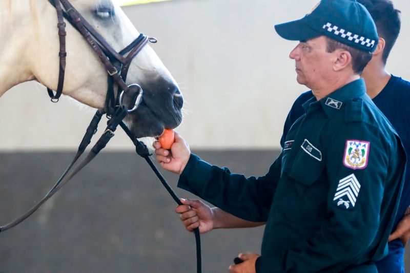  <div class='credito_fotos'>Foto: Bruno Cruz / Ag. Pará &nbsp;&nbsp;|&nbsp;&nbsp; <a href='/midias/2024/originais/20608_5c624ff1-3f47-4051-c779-b1cd32674c47.jpg' download><i class='fa-solid fa-download'></i> Download</a></div>