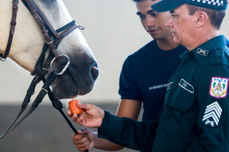  <div class='credito_fotos'>Foto: Bruno Cruz / Ag. Pará &nbsp;&nbsp;|&nbsp;&nbsp; <a href='/midias/2024/originais/20608_5dacdc1b-24c3-9d4b-1c0f-400aebd7169e.jpg' download><i class='fa-solid fa-download'></i> Download</a></div>