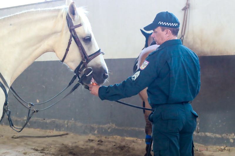  <div class='credito_fotos'>Foto: Bruno Cruz / Ag. Pará &nbsp;&nbsp;|&nbsp;&nbsp; <a href='/midias/2024/originais/20608_5ebc7c82-af48-bdd1-d3c9-cc75dcbc01b6.jpg' download><i class='fa-solid fa-download'></i> Download</a></div>