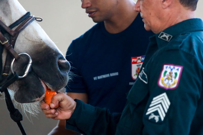  <div class='credito_fotos'>Foto: Bruno Cruz / Ag. Pará &nbsp;&nbsp;|&nbsp;&nbsp; <a href='/midias/2024/originais/20608_6101ef68-6243-6800-69a0-94cf93560f1e.jpg' download><i class='fa-solid fa-download'></i> Download</a></div>