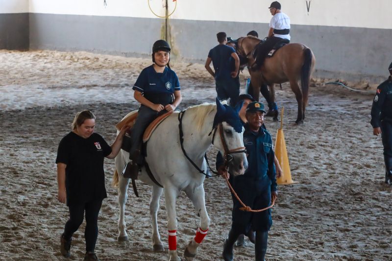  <div class='credito_fotos'>Foto: Bruno Cruz / Ag. Pará &nbsp;&nbsp;|&nbsp;&nbsp; <a href='/midias/2024/originais/20608_6890330b-b2a6-e13c-3b29-df16b21103f9.jpg' download><i class='fa-solid fa-download'></i> Download</a></div>