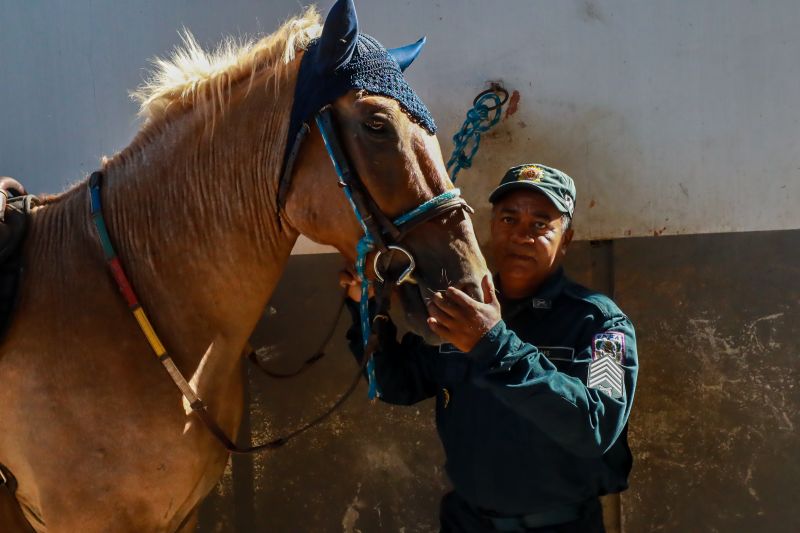  <div class='credito_fotos'>Foto: Bruno Cruz / Ag. Pará &nbsp;&nbsp;|&nbsp;&nbsp; <a href='/midias/2024/originais/20608_6ac3d424-7048-490b-42f1-5e083a4e4ca5.jpg' download><i class='fa-solid fa-download'></i> Download</a></div>