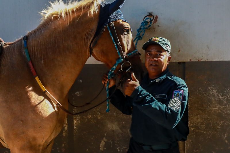  <div class='credito_fotos'>Foto: Bruno Cruz / Ag. Pará &nbsp;&nbsp;|&nbsp;&nbsp; <a href='/midias/2024/originais/20608_7431ce00-7975-9998-9e52-16ceefec42ba.jpg' download><i class='fa-solid fa-download'></i> Download</a></div>