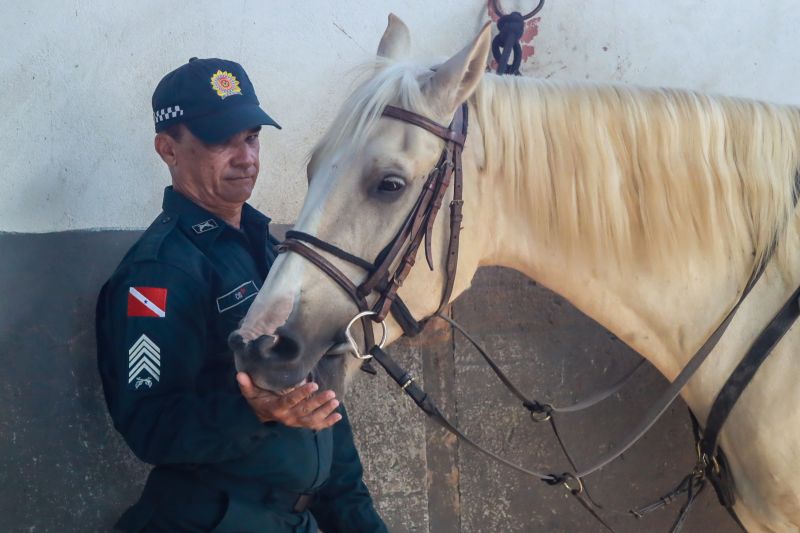  <div class='credito_fotos'>Foto: Bruno Cruz / Ag. Pará &nbsp;&nbsp;|&nbsp;&nbsp; <a href='/midias/2024/originais/20608_79ef18ec-849c-ccbf-b64d-9378978b1ca2.jpg' download><i class='fa-solid fa-download'></i> Download</a></div>