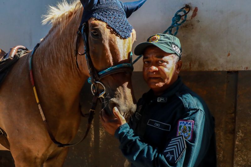  <div class='credito_fotos'>Foto: Bruno Cruz / Ag. Pará &nbsp;&nbsp;|&nbsp;&nbsp; <a href='/midias/2024/originais/20608_7b96f385-acb4-db74-e04c-a899c41e9c6f.jpg' download><i class='fa-solid fa-download'></i> Download</a></div>