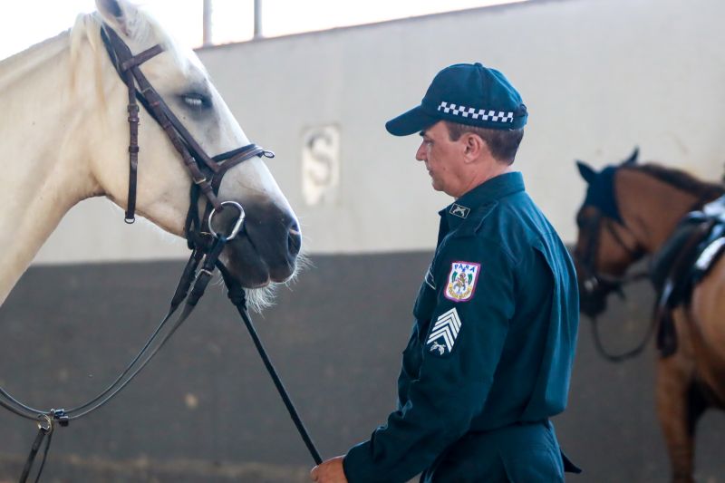  <div class='credito_fotos'>Foto: Bruno Cruz / Ag. Pará &nbsp;&nbsp;|&nbsp;&nbsp; <a href='/midias/2024/originais/20608_8080154a-9bcc-4f4c-fbe1-08d86e654926.jpg' download><i class='fa-solid fa-download'></i> Download</a></div>