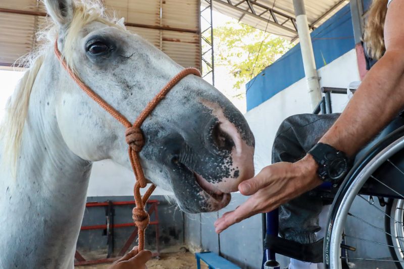  <div class='credito_fotos'>Foto: Bruno Cruz / Ag. Pará &nbsp;&nbsp;|&nbsp;&nbsp; <a href='/midias/2024/originais/20608_8a212605-34dd-cbce-4b00-0da9bc12ce9b.jpg' download><i class='fa-solid fa-download'></i> Download</a></div>