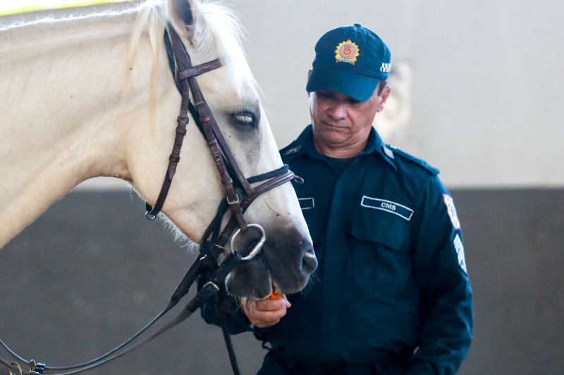  <div class='credito_fotos'>Foto: Bruno Cruz / Ag. Pará &nbsp;&nbsp;|&nbsp;&nbsp; <a href='/midias/2024/originais/20608_8ec65710-7bd2-d348-ef07-c23d90152dde.jpg' download><i class='fa-solid fa-download'></i> Download</a></div>