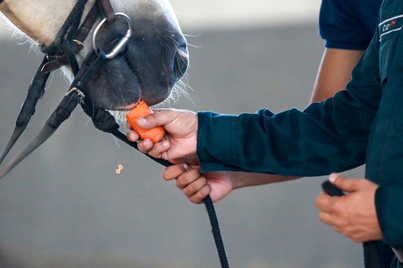  <div class='credito_fotos'>Foto: Bruno Cruz / Ag. Pará &nbsp;&nbsp;|&nbsp;&nbsp; <a href='/midias/2024/originais/20608_915ff723-4216-de3d-b454-e74cfa462d7e.jpg' download><i class='fa-solid fa-download'></i> Download</a></div>