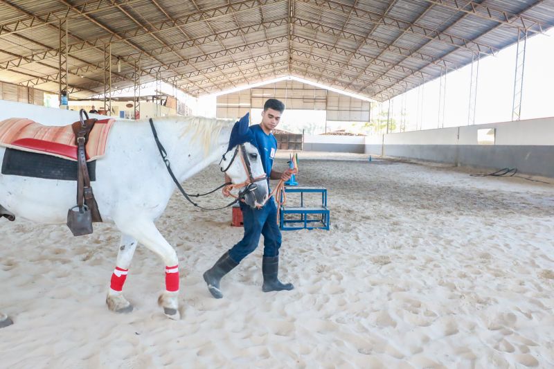  <div class='credito_fotos'>Foto: Bruno Cruz / Ag. Pará &nbsp;&nbsp;|&nbsp;&nbsp; <a href='/midias/2024/originais/20608_9989d87a-2879-8af7-e4b0-502a1a4b23f7.jpg' download><i class='fa-solid fa-download'></i> Download</a></div>