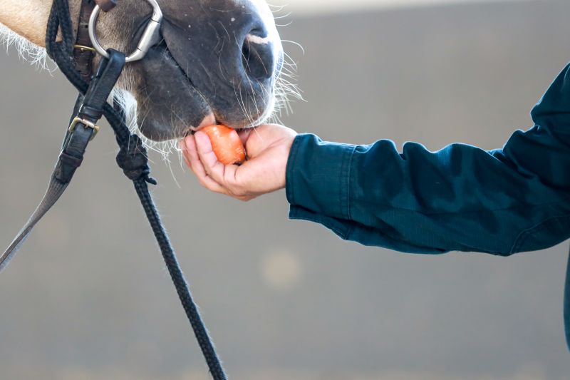  <div class='credito_fotos'>Foto: Bruno Cruz / Ag. Pará &nbsp;&nbsp;|&nbsp;&nbsp; <a href='/midias/2024/originais/20608_ac3f191d-47ee-81f3-fea0-5b16a9fa7bc9.jpg' download><i class='fa-solid fa-download'></i> Download</a></div>
