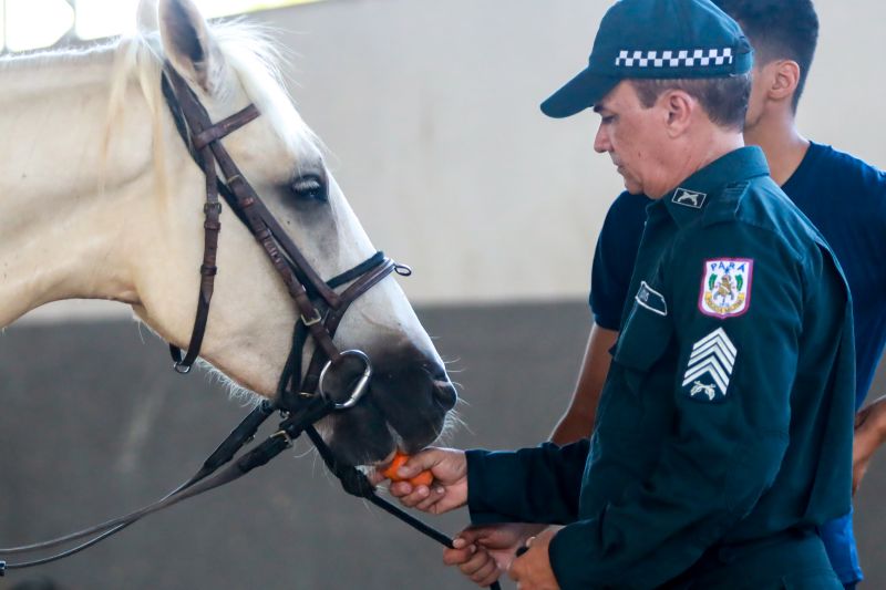  <div class='credito_fotos'>Foto: Bruno Cruz / Ag. Pará &nbsp;&nbsp;|&nbsp;&nbsp; <a href='/midias/2024/originais/20608_b026fa66-5b39-ccb2-74e4-355cc343430c.jpg' download><i class='fa-solid fa-download'></i> Download</a></div>