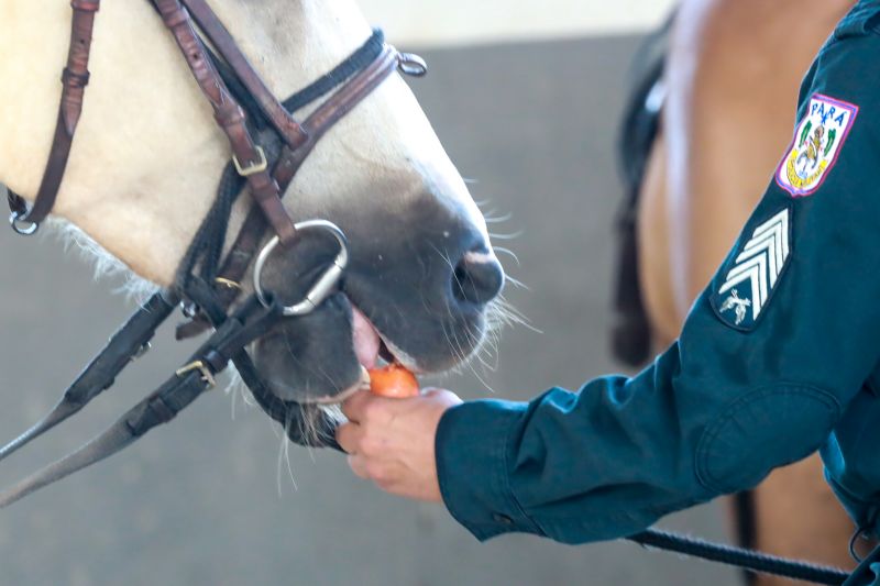  <div class='credito_fotos'>Foto: Bruno Cruz / Ag. Pará &nbsp;&nbsp;|&nbsp;&nbsp; <a href='/midias/2024/originais/20608_b0b74e6c-3313-322b-0b28-2102aa60f713.jpg' download><i class='fa-solid fa-download'></i> Download</a></div>