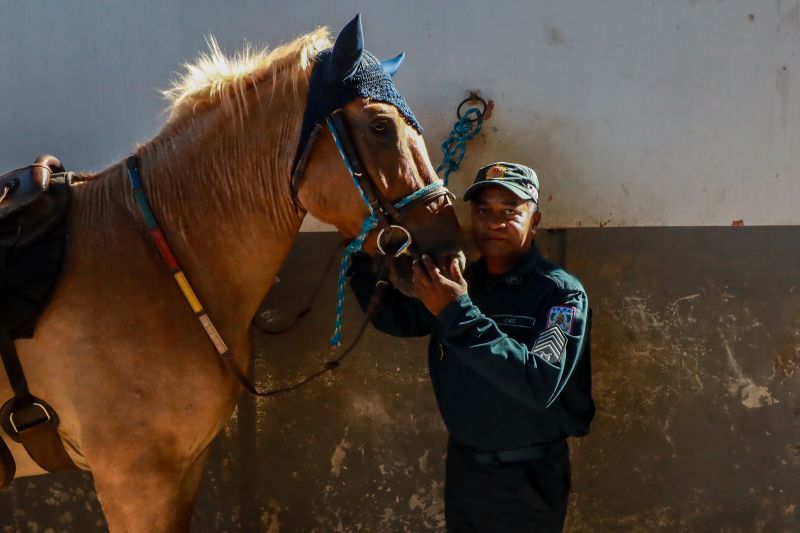  <div class='credito_fotos'>Foto: Bruno Cruz / Ag. Pará &nbsp;&nbsp;|&nbsp;&nbsp; <a href='/midias/2024/originais/20608_b3b9823c-e5a5-0865-23c0-5b2eb28bc779.jpg' download><i class='fa-solid fa-download'></i> Download</a></div>