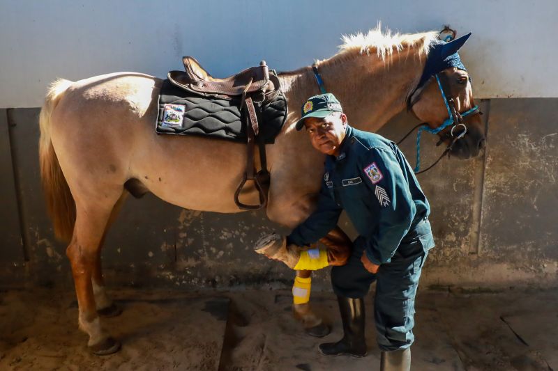  <div class='credito_fotos'>Foto: Bruno Cruz / Ag. Pará &nbsp;&nbsp;|&nbsp;&nbsp; <a href='/midias/2024/originais/20608_bcbcc471-53a3-16ca-06e8-c124eb3c9b04.jpg' download><i class='fa-solid fa-download'></i> Download</a></div>
