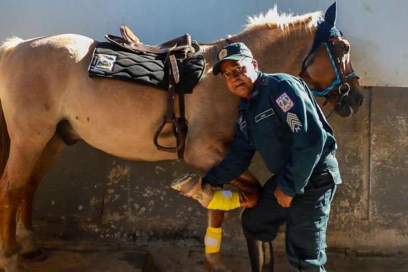 <div class='credito_fotos'>Foto: Bruno Cruz / Ag. Pará &nbsp;&nbsp;|&nbsp;&nbsp; <a href='/midias/2024/originais/20608_c191e15c-5dea-7f08-5033-d79eae459a5e.jpg' download><i class='fa-solid fa-download'></i> Download</a></div>