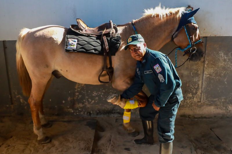 <div class='credito_fotos'>Foto: Bruno Cruz / Ag. Pará &nbsp;&nbsp;|&nbsp;&nbsp; <a href='/midias/2024/originais/20608_c429b1bc-1ba3-5183-5353-635213079152.jpg' download><i class='fa-solid fa-download'></i> Download</a></div>