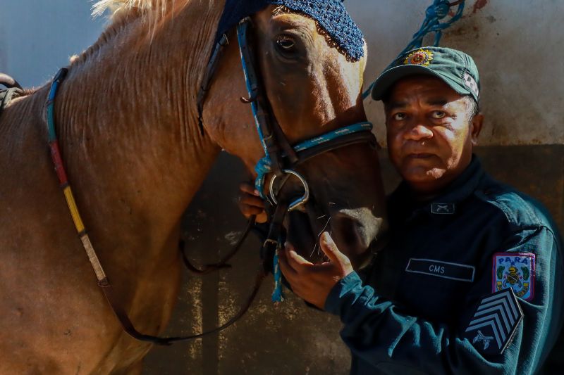  <div class='credito_fotos'>Foto: Bruno Cruz / Ag. Pará &nbsp;&nbsp;|&nbsp;&nbsp; <a href='/midias/2024/originais/20608_c6d95f2d-4345-892d-7f7e-f66f82718067.jpg' download><i class='fa-solid fa-download'></i> Download</a></div>