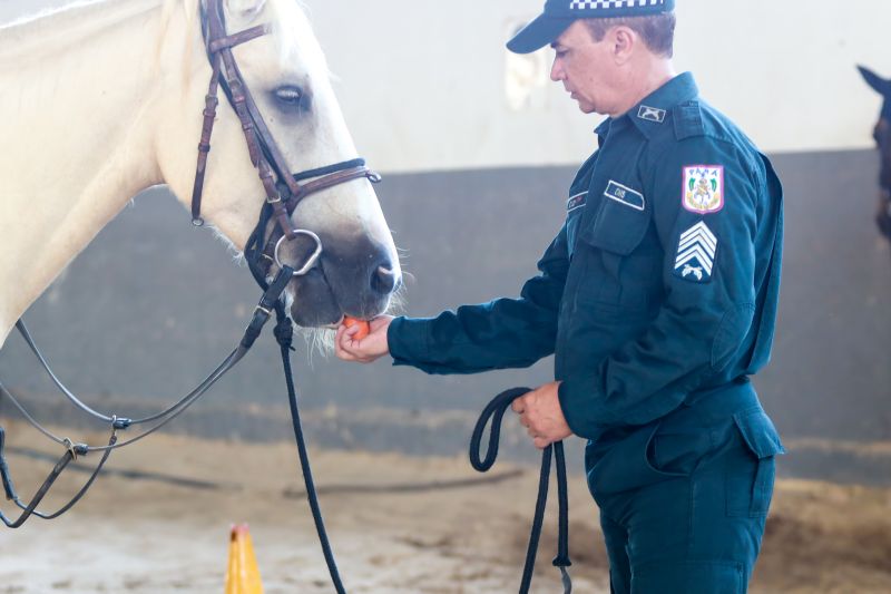  <div class='credito_fotos'>Foto: Bruno Cruz / Ag. Pará &nbsp;&nbsp;|&nbsp;&nbsp; <a href='/midias/2024/originais/20608_c8f513db-7665-c4dd-893a-5753e30dbc42.jpg' download><i class='fa-solid fa-download'></i> Download</a></div>