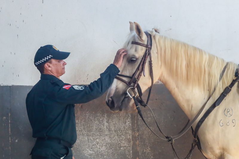  <div class='credito_fotos'>Foto: Bruno Cruz / Ag. Pará &nbsp;&nbsp;|&nbsp;&nbsp; <a href='/midias/2024/originais/20608_d00e2e02-7cac-3a48-548d-9444aa7e8c8f.jpg' download><i class='fa-solid fa-download'></i> Download</a></div>