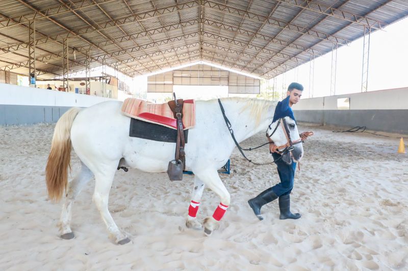  <div class='credito_fotos'>Foto: Bruno Cruz / Ag. Pará &nbsp;&nbsp;|&nbsp;&nbsp; <a href='/midias/2024/originais/20608_d156968c-8eb6-2952-aa66-e77d68c261fd.jpg' download><i class='fa-solid fa-download'></i> Download</a></div>