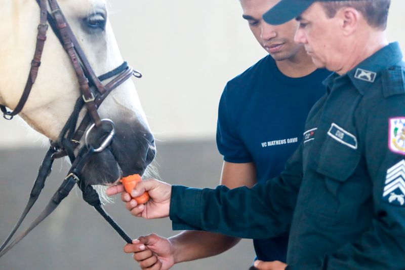  <div class='credito_fotos'>Foto: Bruno Cruz / Ag. Pará &nbsp;&nbsp;|&nbsp;&nbsp; <a href='/midias/2024/originais/20608_d2efed13-08a3-a8d8-cbec-cce5b163f70c.jpg' download><i class='fa-solid fa-download'></i> Download</a></div>