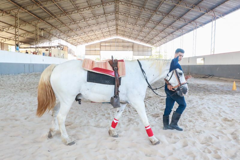  <div class='credito_fotos'>Foto: Bruno Cruz / Ag. Pará &nbsp;&nbsp;|&nbsp;&nbsp; <a href='/midias/2024/originais/20608_d3146e41-2177-a824-d261-5a5adea73df0.jpg' download><i class='fa-solid fa-download'></i> Download</a></div>