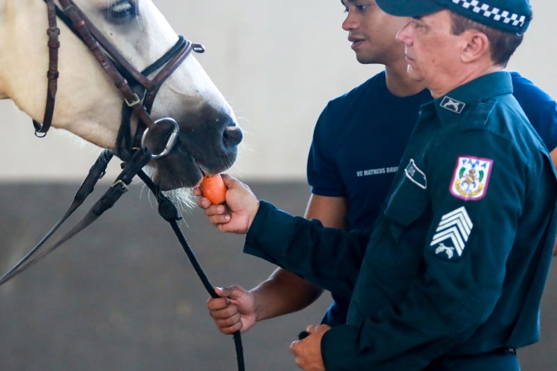  <div class='credito_fotos'>Foto: Bruno Cruz / Ag. Pará &nbsp;&nbsp;|&nbsp;&nbsp; <a href='/midias/2024/originais/20608_d8957d0a-72b4-cb46-0d2f-3e9e512db895.jpg' download><i class='fa-solid fa-download'></i> Download</a></div>
