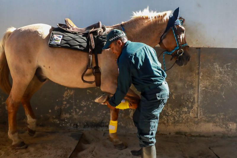  <div class='credito_fotos'>Foto: Bruno Cruz / Ag. Pará &nbsp;&nbsp;|&nbsp;&nbsp; <a href='/midias/2024/originais/20608_daabcc63-7a51-dc9d-11b1-eec07da37393.jpg' download><i class='fa-solid fa-download'></i> Download</a></div>