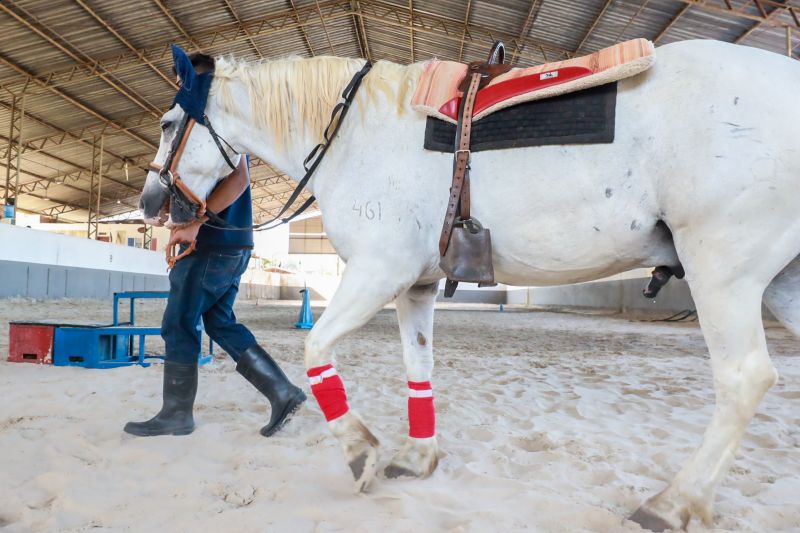  <div class='credito_fotos'>Foto: Bruno Cruz / Ag. Pará &nbsp;&nbsp;|&nbsp;&nbsp; <a href='/midias/2024/originais/20608_e3382b7f-d2b1-2e53-da93-24283683872b.jpg' download><i class='fa-solid fa-download'></i> Download</a></div>