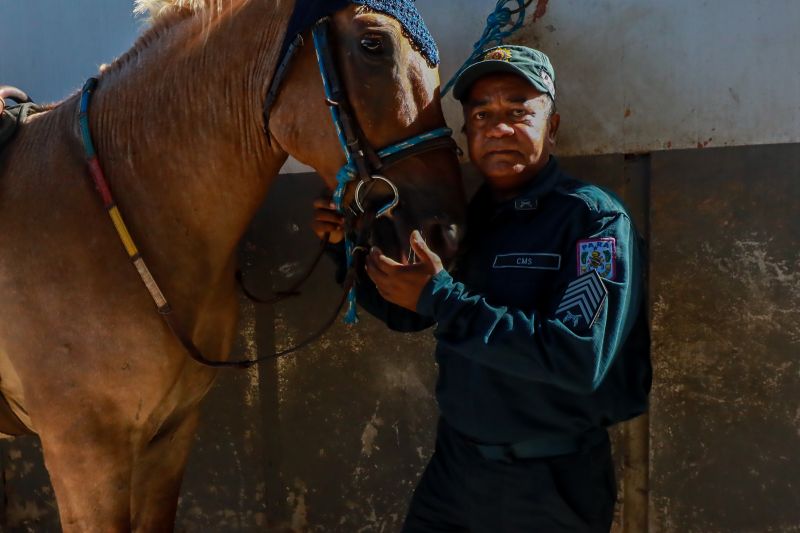  <div class='credito_fotos'>Foto: Bruno Cruz / Ag. Pará &nbsp;&nbsp;|&nbsp;&nbsp; <a href='/midias/2024/originais/20608_e8a1da50-70a5-6b16-9433-7933edc4b17b.jpg' download><i class='fa-solid fa-download'></i> Download</a></div>