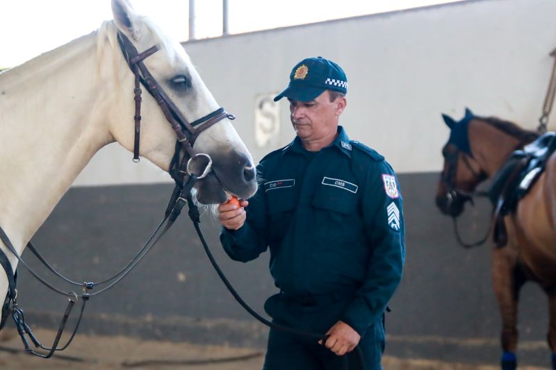  <div class='credito_fotos'>Foto: Bruno Cruz / Ag. Pará &nbsp;&nbsp;|&nbsp;&nbsp; <a href='/midias/2024/originais/20608_eb665df2-d13a-cffc-e01c-aa5eaa0d0630.jpg' download><i class='fa-solid fa-download'></i> Download</a></div>