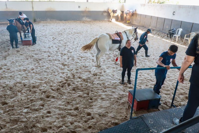  <div class='credito_fotos'>Foto: Bruno Cruz / Ag. Pará &nbsp;&nbsp;|&nbsp;&nbsp; <a href='/midias/2024/originais/20608_f17be6b9-efea-c7e5-2764-8aa26398f076.jpg' download><i class='fa-solid fa-download'></i> Download</a></div>